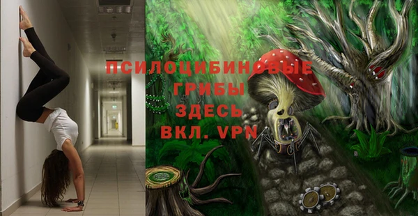 jwh Верея